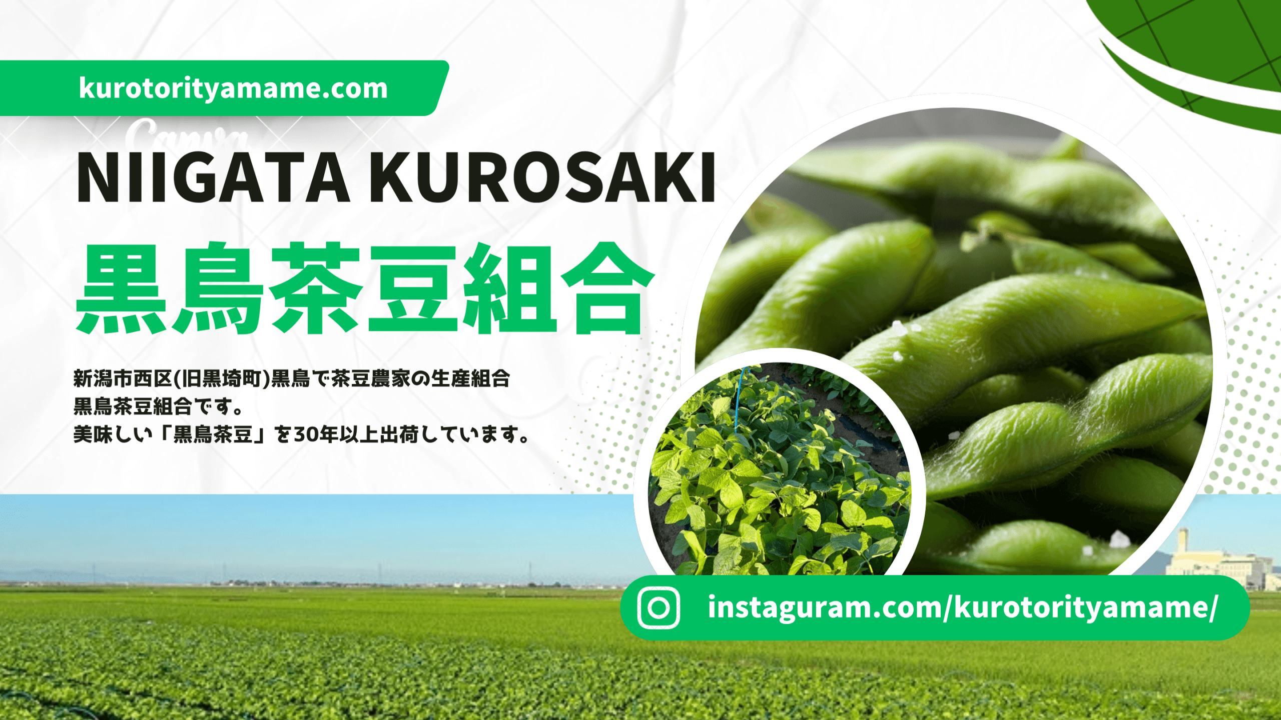 黒鳥茶豆組合